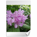 Purple Rhododendron Flower Canvas 24  x 36 