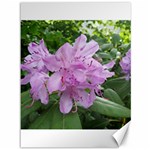 Purple Rhododendron Flower Canvas 36  x 48  