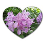 Purple Rhododendron Flower Heart Mousepads