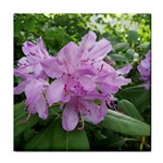 Purple Rhododendron Flower Face Towel