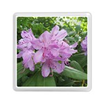 Purple Rhododendron Flower Memory Card Reader (Square) 