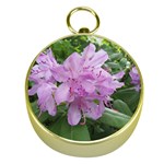 Purple Rhododendron Flower Gold Compasses