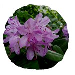 Purple Rhododendron Flower Large 18  Premium Flano Round Cushions