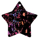 Put some colors... Ornament (Star) 