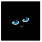 Halloween - black cat - blue eyes Large Satin Scarf (Square)