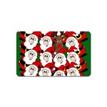 Did you see Rudolph? Magnet (Name Card)