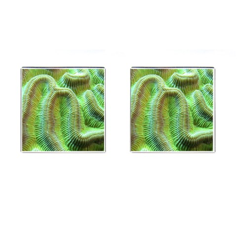 Brain Coral Cufflinks (Square) from UrbanLoad.com Front(Pair)
