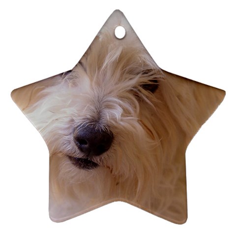 Dads Dog Ornament (Star) from UrbanLoad.com Front