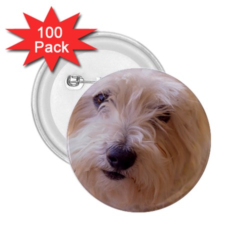 Dads Dog 2.25  Button (100 pack) from UrbanLoad.com Front
