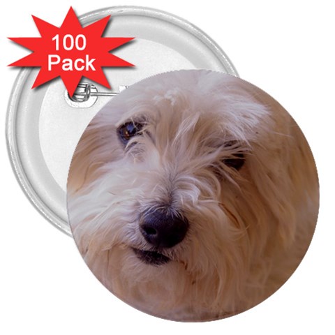 Dads Dog 3  Button (100 pack) from UrbanLoad.com Front