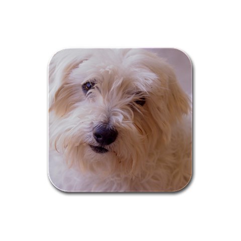 Dads Dog Rubber Square Coaster (4 pack) from UrbanLoad.com Front