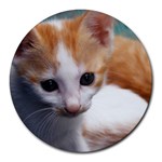 Cute Kitten Round Mousepad
