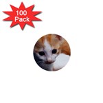 Cute Kitten 1  Mini Button (100 pack) 