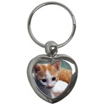 Cute Kitten Key Chain (Heart)