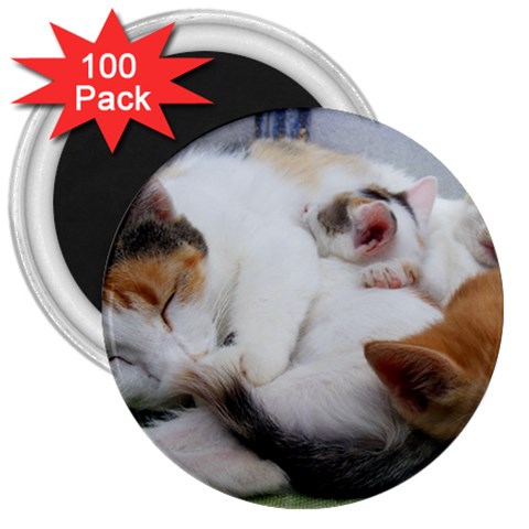 Sleeping Kittens 3  Magnet (100 pack) from UrbanLoad.com Front
