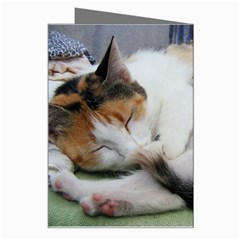 Sleeping Kittens Greeting Card from UrbanLoad.com Right