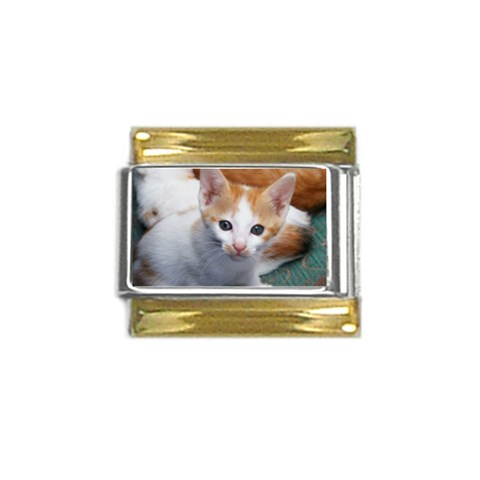 Cute Kitten 2 Gold Trim Italian Charm (9mm) from UrbanLoad.com Front