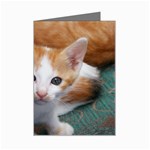 Cute Kitten 2 Mini Greeting Card