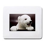 Polar Bear Cub Smile Large Mousepad
