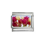 Beautiful Tulips Floral Italian Charm (9mm)