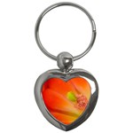 Claret Cactus Blossom Floral Key Chain (Heart)