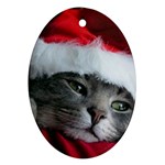 Chat_02_1024x768 Ornament (Oval)