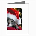 Chat_02_1024x768 Greeting Cards (Pkg of 8)