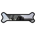 F-117 Nighthawk Magnet (Dog Bone)