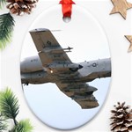 A-10 Thunderbolt II  C-model Ornament (Oval)