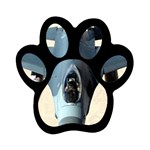 F-16 Fighting Falcon Magnet (Paw Print)