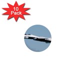 F-14D Tomcat 1  Mini Button (10 pack) 