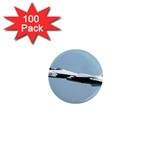 F-14D Tomcat 1  Mini Magnet (100 pack) 