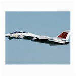 F-14D Tomcat Glasses Cloth