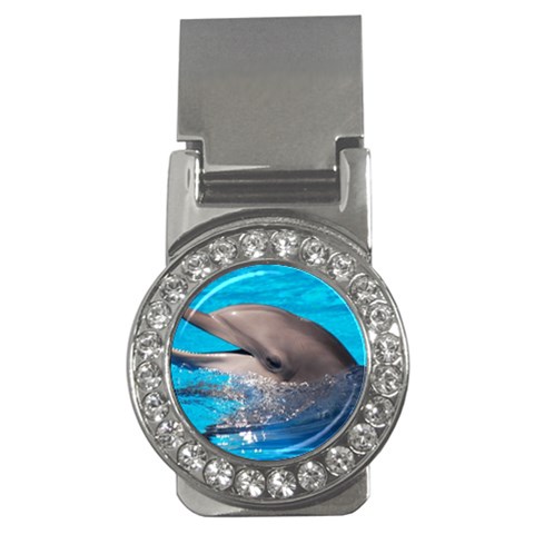 Dolphin Money Clip (CZ) from UrbanLoad.com Front