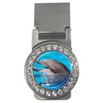 Dolphin Money Clip (CZ)