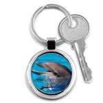 Dolphin Key Chain (Round)