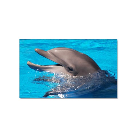 Dolphin Sticker (Rectangular) from UrbanLoad.com Front