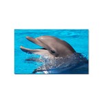 Dolphin Sticker (Rectangular)