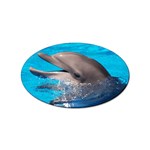 Dolphin Sticker Oval (10 pack)