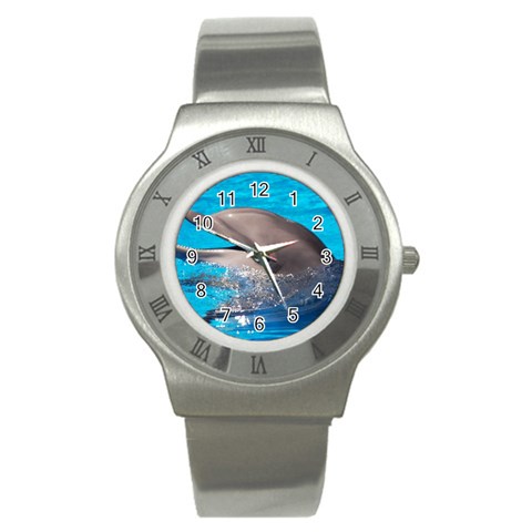 Dolphin Stainless Steel Watch from UrbanLoad.com Front
