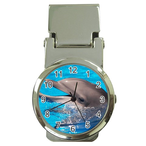 Dolphin Money Clip Watch from UrbanLoad.com Front