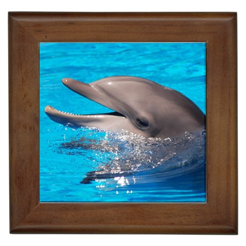 Dolphin Framed Tile from UrbanLoad.com Front