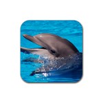 Dolphin Rubber Coaster (Square)