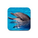 Dolphin Rubber Square Coaster (4 pack)