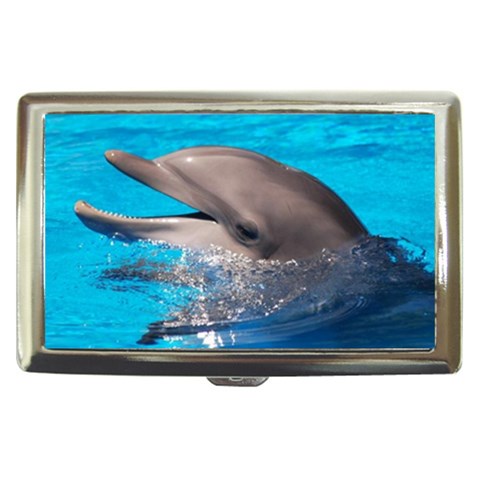 Dolphin Cigarette Money Case from UrbanLoad.com Front