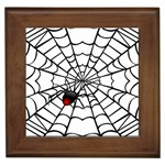 spiderweb 2 Framed Tile