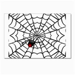 spiderweb 2 Postcards 5  x 7  (Pkg of 10)