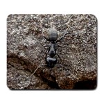 Black Ant Large Mousepad