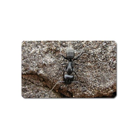 Black Ant Magnet (Name Card) from UrbanLoad.com Front