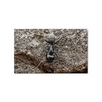 Black Ant Sticker Rectangular (100 pack)